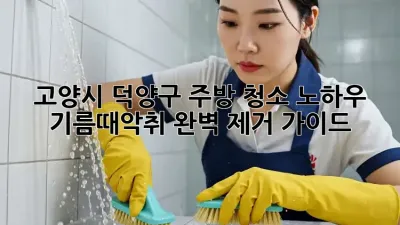 고양시 덕양구 주방 청소 노하우: 기름때&악취 완벽 제거 가이드