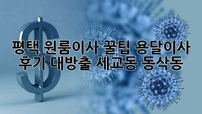 평택 원룸이사 꿀팁🍯 용달이사 후기 대방출 (세교동, 동삭동)
